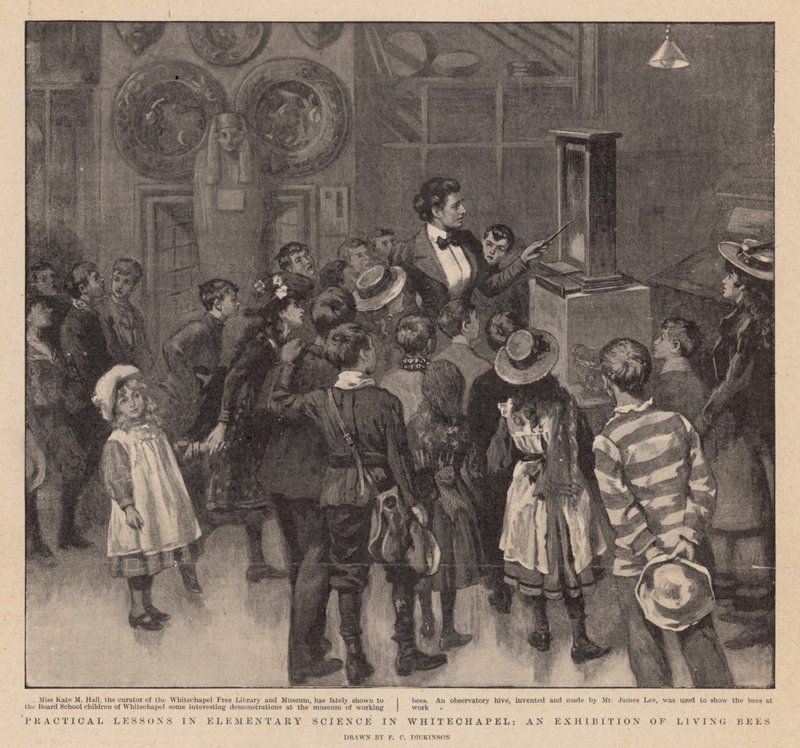 Practical Lessons in Elementary Science in Whitechapel; An Exhibition of Living Bees by English School