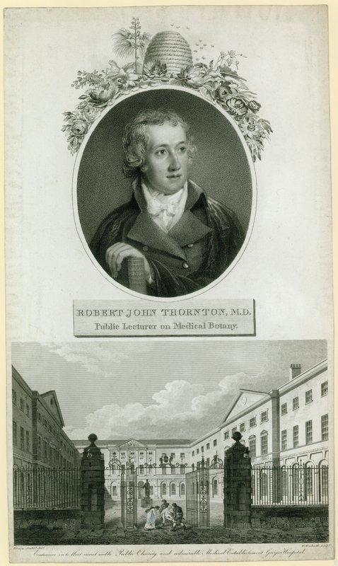 Professor John Thornton, Public Lecturer on Medical Botany by English School