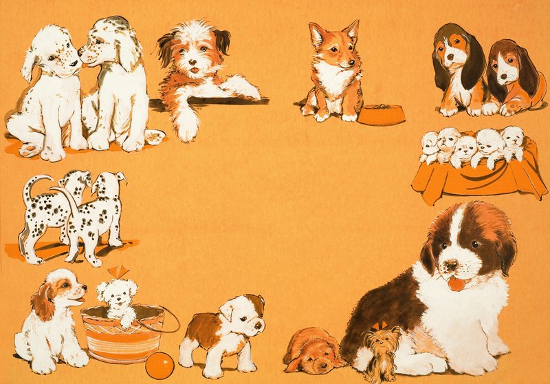 Puppy Dogs by English School