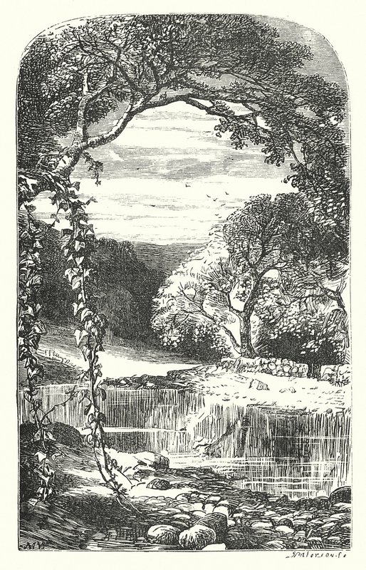 Returning Spring by English School
