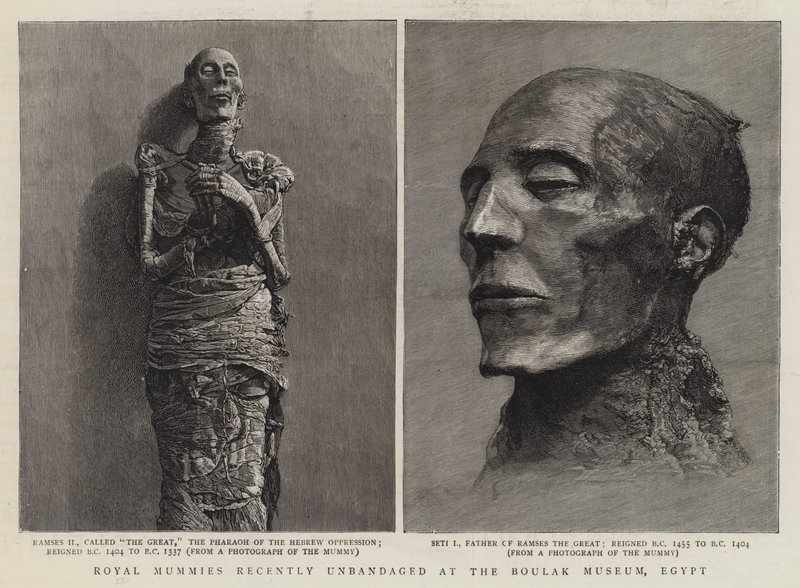 Royal Mummies recently Unbandaged at the Boulak Museum, Egypt by English School