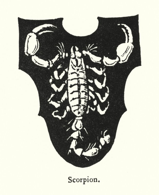 Scorpion by English School