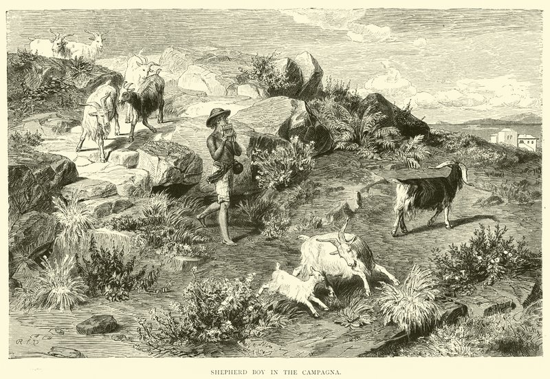 Shepherd Boy in the Campagna by English School