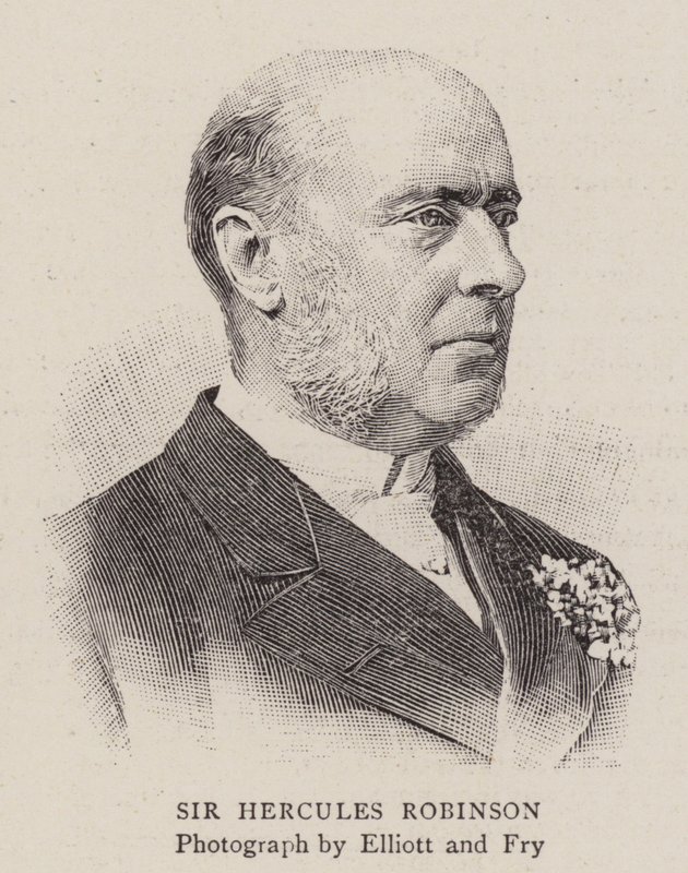 Sir Hercules Robinson by English School