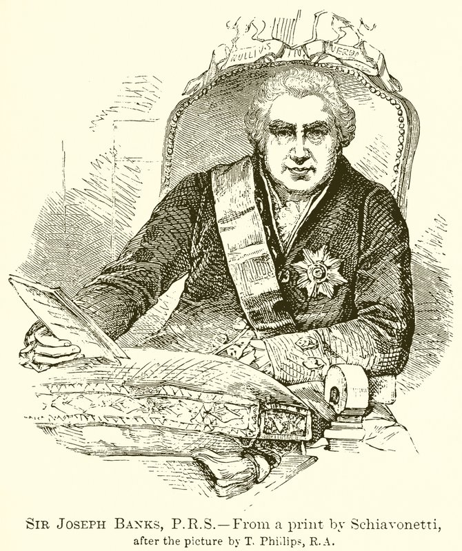 Sir Joseph Banks, P.R.S by English School