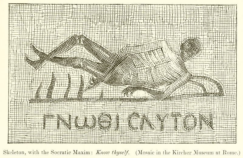 Skeleton, with the Socratic Maxim: Know thyself by English School