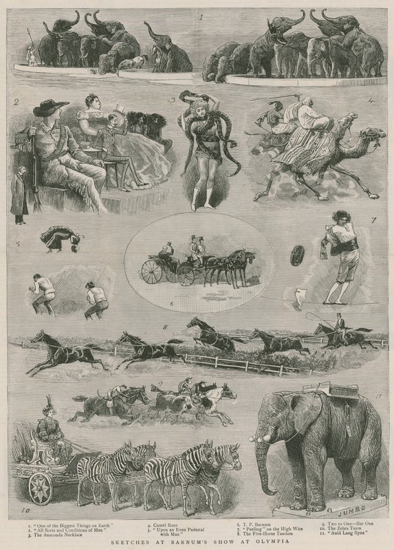Sketches at Barnum