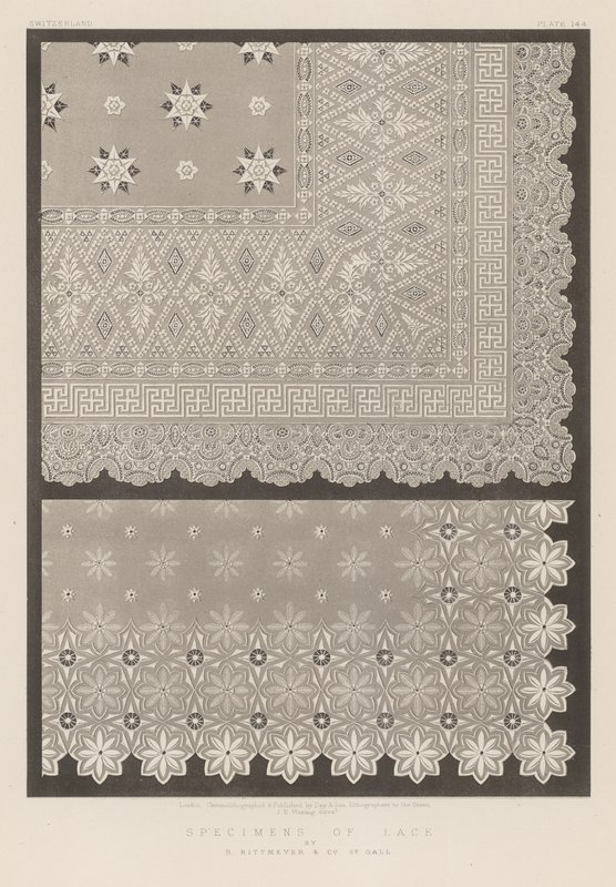 Specimens of Lace by English School