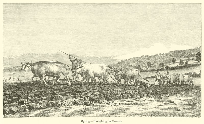 Spring, Ploughing in France by English School
