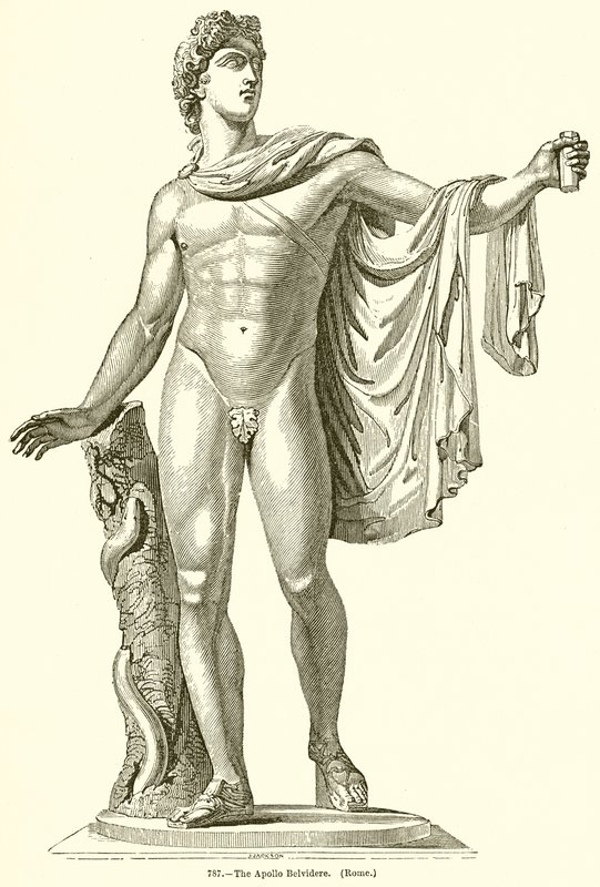 The Apollo Belvedere (Rome) by English School