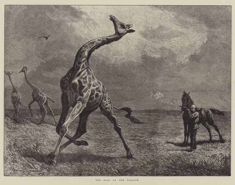The Fall of the Giraffe by English School