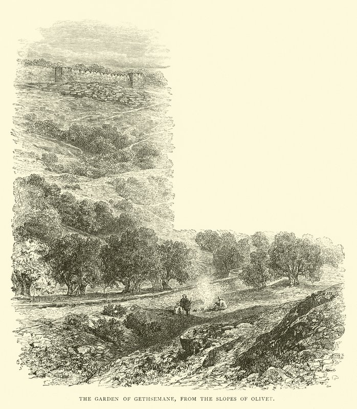 The Garden of Gethsemane, from the Slopes of Olivet by English School