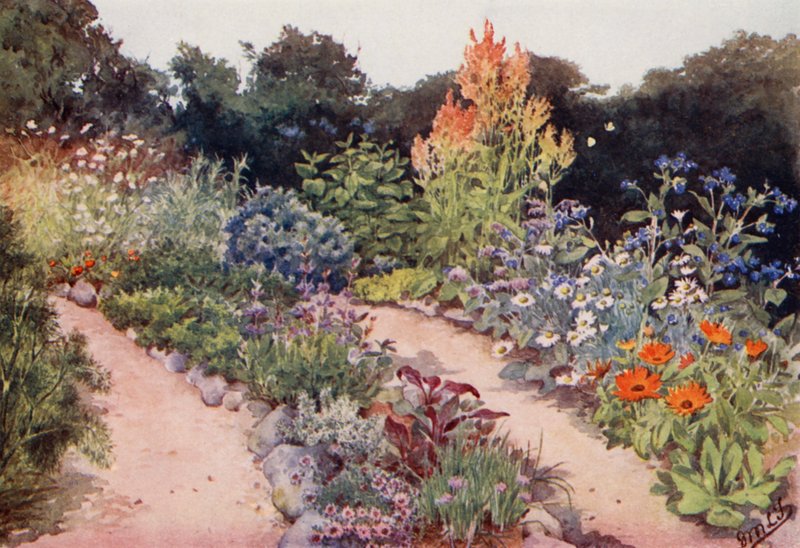 The Herb-Garden: Herb borders in June by English School
