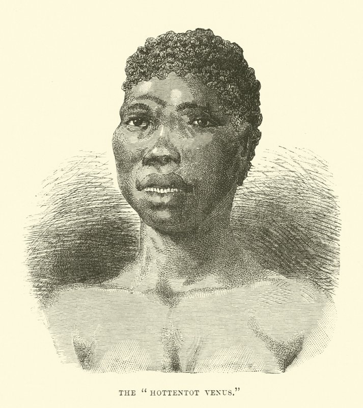 The Hottentot Venus by English School