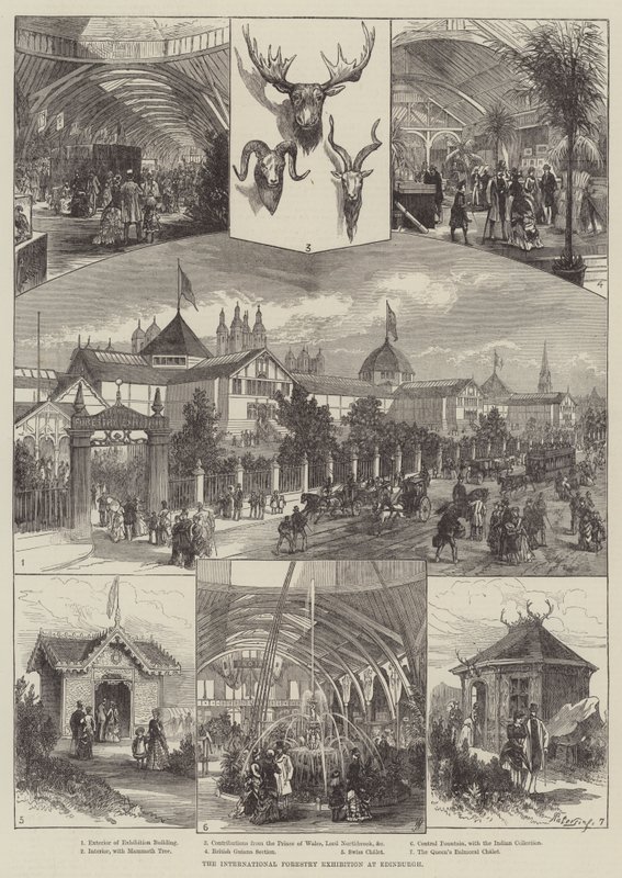 The International Forestry Exhibition at Edinburgh by English School