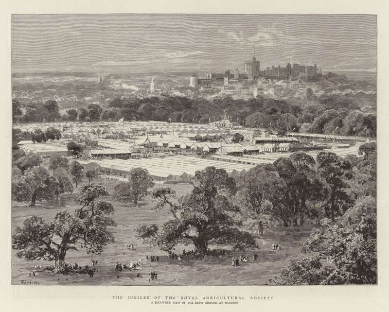 The Jubilee of the Royal Agricultural Society by English School