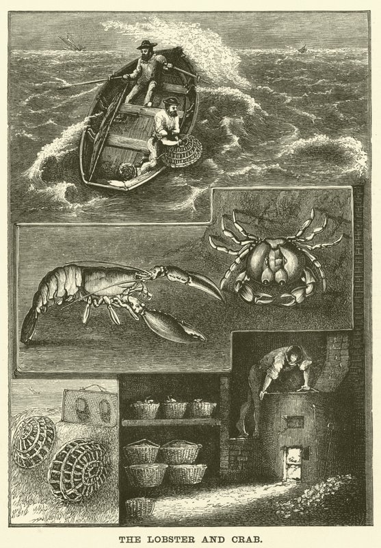 The Lobster and Crab by English School