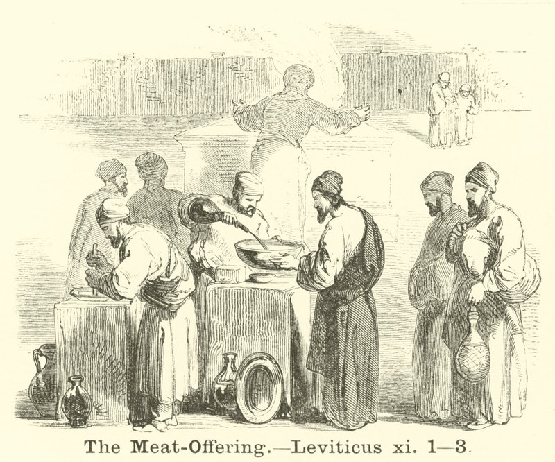 The Meat-Offering, Leviticus 11:1, 3 by English School