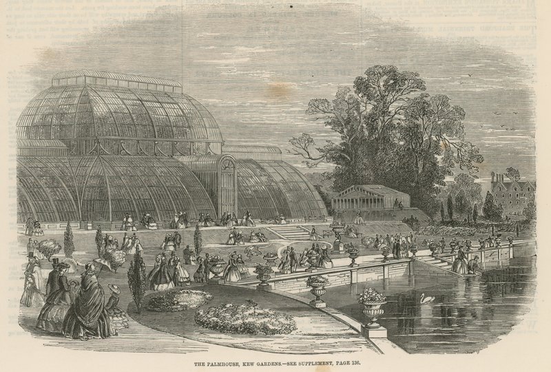 The Palm House, Kew Gardens, London by English School
