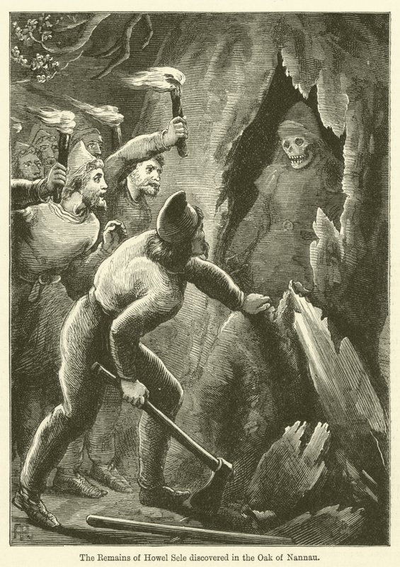 The Remains of Howel Sele Discovered in the Oak of Nannau by English School