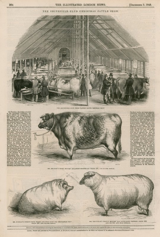The Smithfield Club Christmas Cattle Show by English School