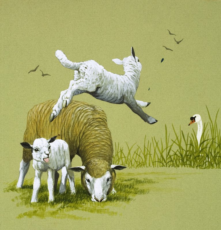 The Ugly Duckling by English School