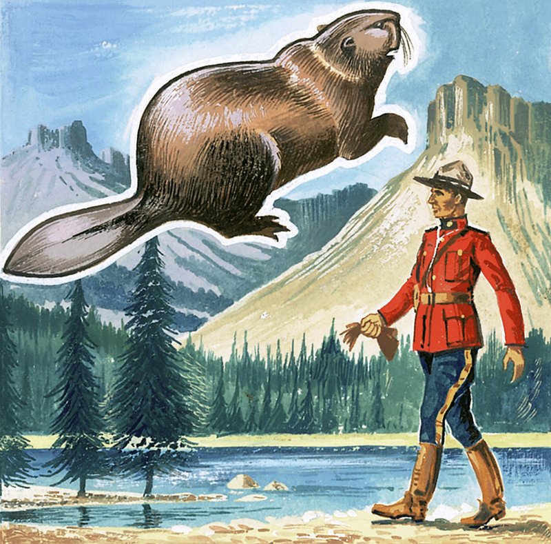 The Beaver, Emblem of Canada by English School