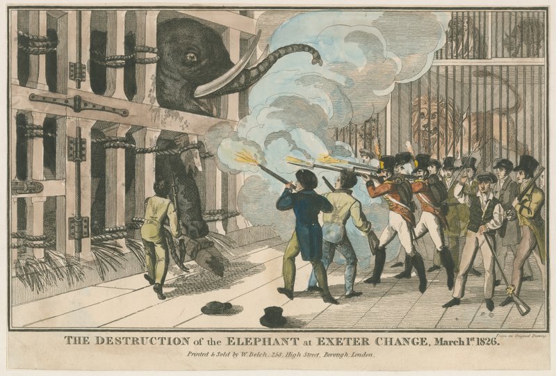 The Destruction of the Elephant at Exeter Change, 1 March 1826 by English School