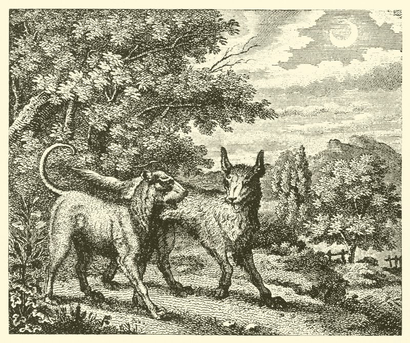 The Dog and the Wolf by English School