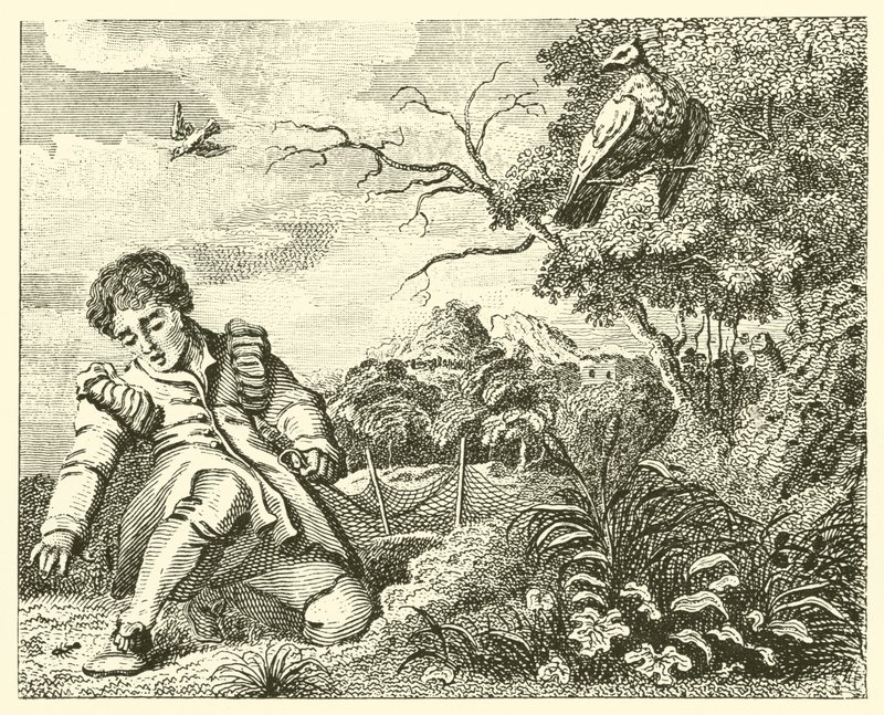 The Dove and the Ant by English School