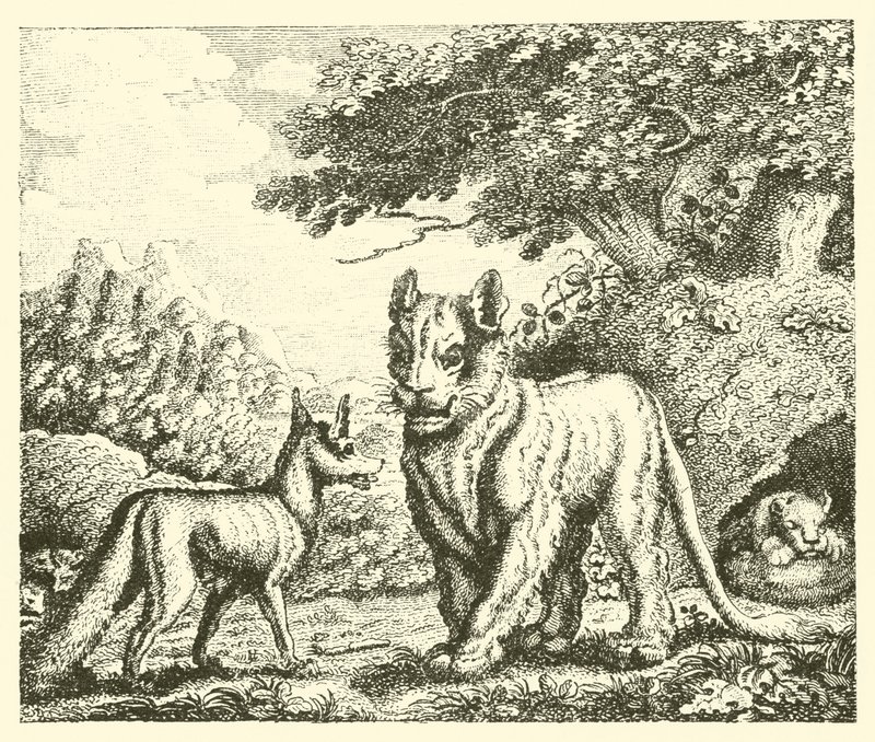 The Lioness and the Fox by English School