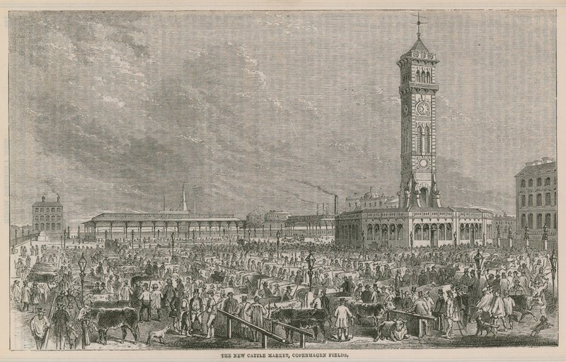 The new cattle market, Copenhagen Fields, London by English School