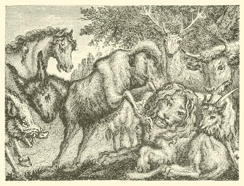 The Old Lion by English School