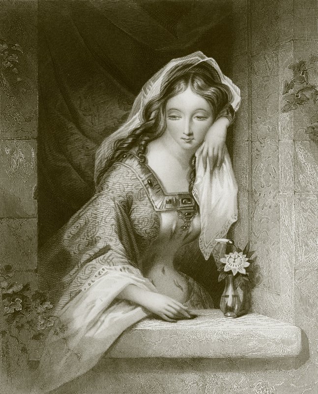 The Passion Flower by English School