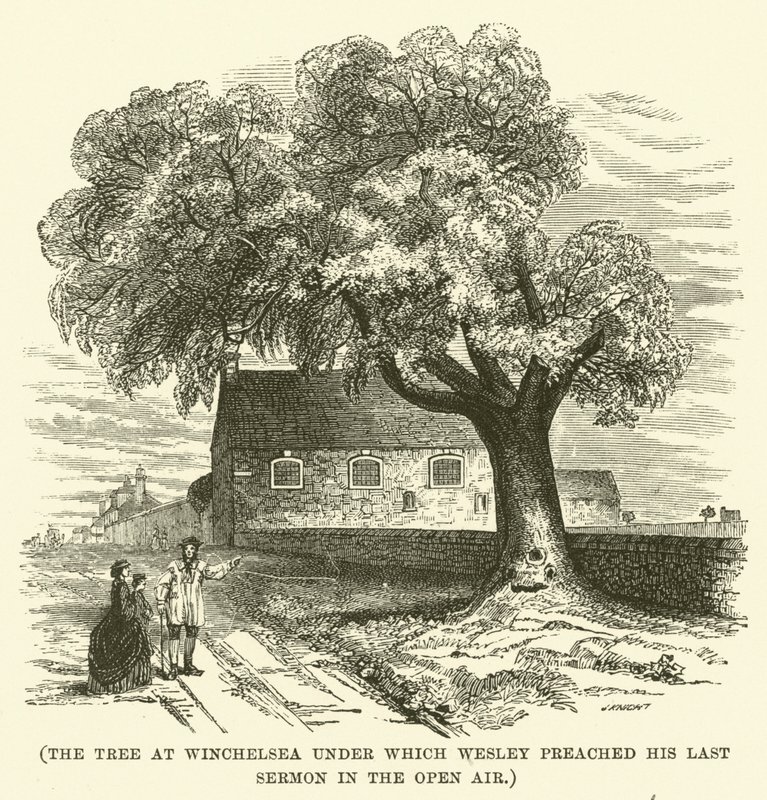 The tree at Winchelsea under which Wesley preached his last sermon in the open air by English School