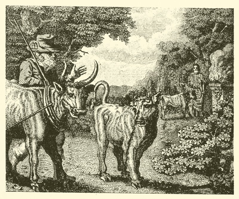 The Wanton Calf by English School