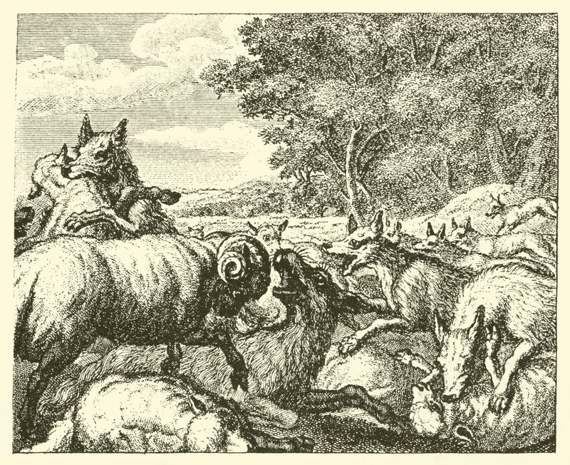 The Wolves and the Sheep by English School