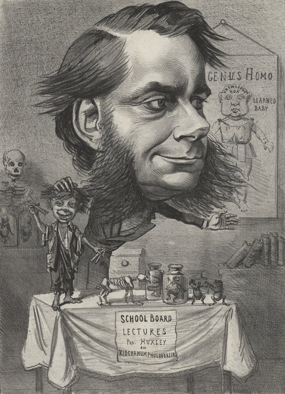 Thomas Henry Huxley, English Biologist by English School