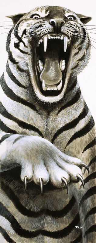 Tooth and Claw by English School