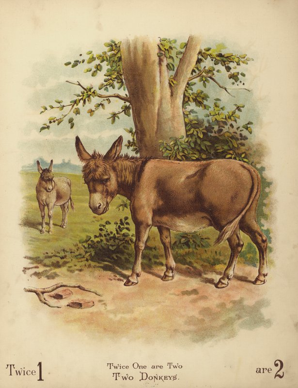 Two Donkeys by English School