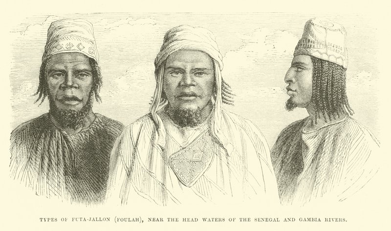 Types of Futa-Jallon, Foulah, Near the Head Waters of the Senegal and Gambia Rivers by English School