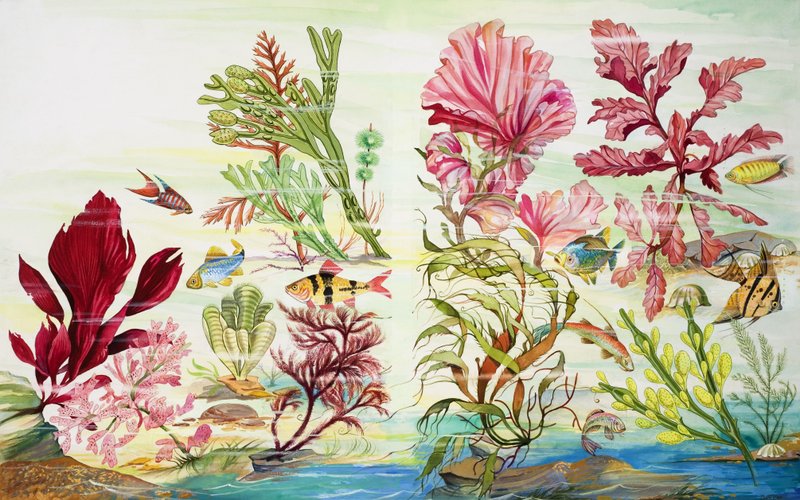 Underwater Plants by English School