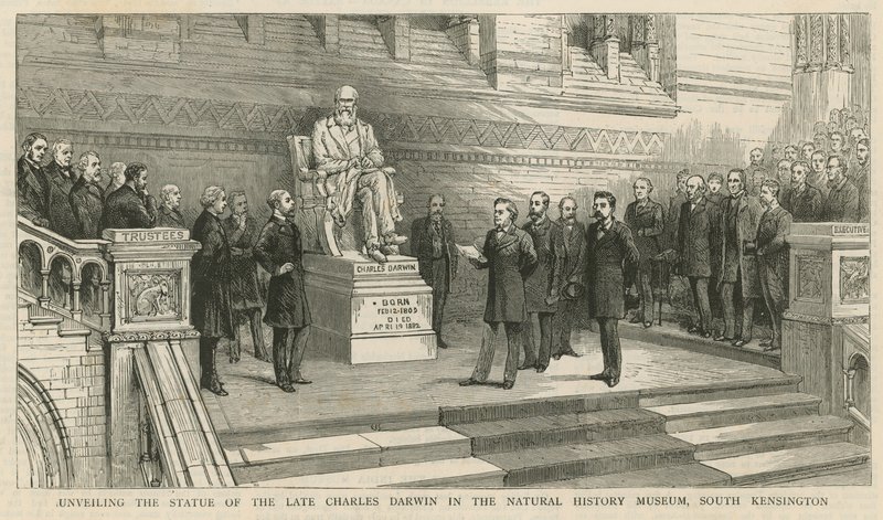 Unveiling the Statue of the Late Charles Darwin in the Natural History Museum, South Kensington by English School