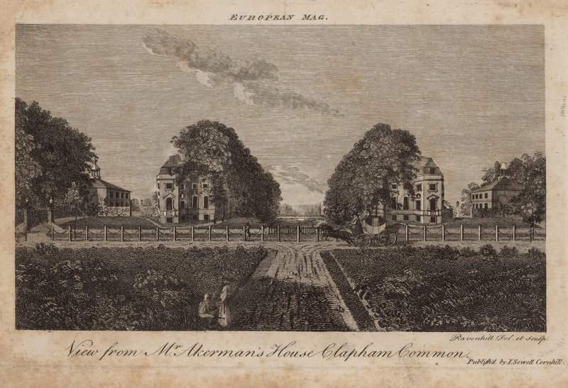 View from Mr Ackerman