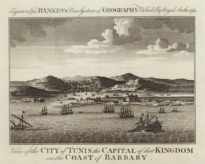 View of the City of Tunis by English School