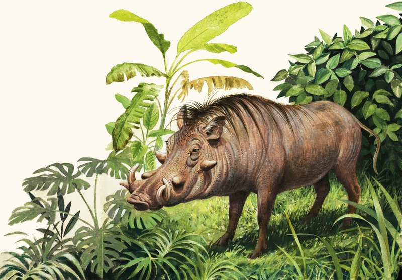 Warthog by English School