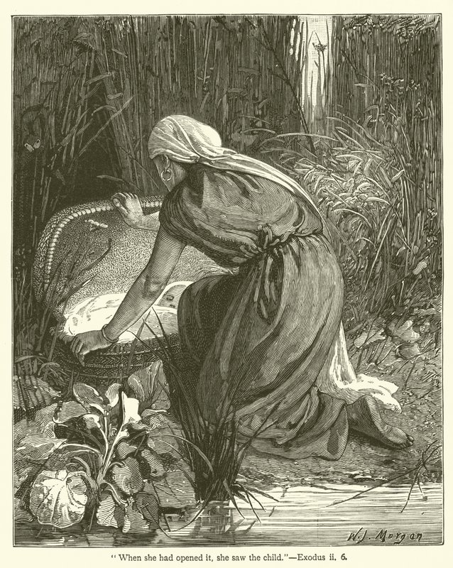 "When she had opened it, she saw the child", Exodus, ii, 6 by English School