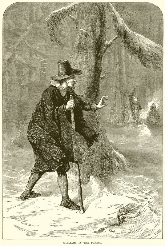 Williams in the Forest by English School