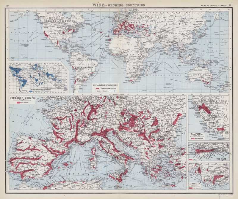 Wine, growing countries by English School