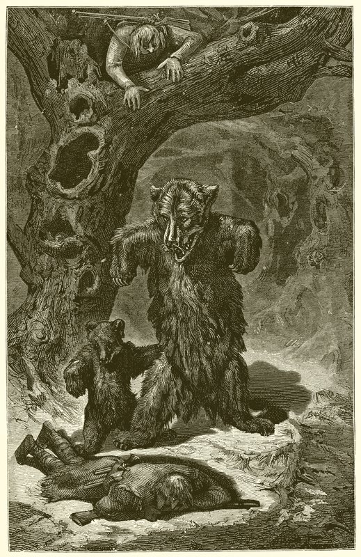 The Travellers and the Bear by Ernest Henry Griset